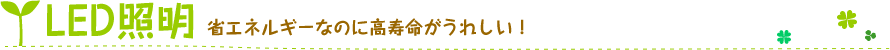 LED照明、省エネルギーなのに高寿命がうれしい！