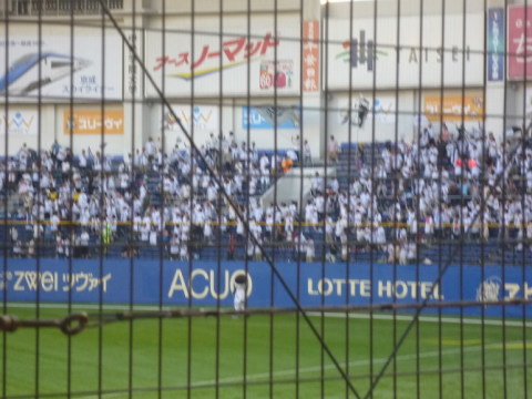 千葉ロッテマリーンズファンも熱いです。ロッテ攻撃時の飛び跳ねての応援凄いです。間違いなく痩せますね！！