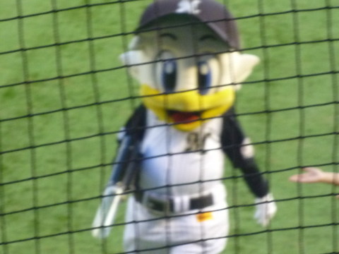 千葉ロッテマリーンズのマスコット、マー君登場！！